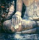 Sandy Shum - Hand of Buddha No1