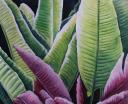 Leaves by A Hein Kyaw