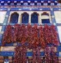 Garlands of Hot Chili Peppers