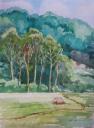 Green,-green,-green-by-Sein-Sein-Lin