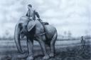 In-the-farm-by-Nid