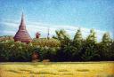 My-Native-by-Saw-Wi-Htun