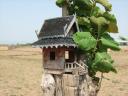 Spirit house in the field