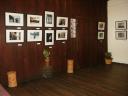 exhibition-2