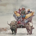IMG_9009