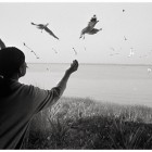 20110210_mawlamyine_feedbirds2_txD76