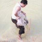 download.gif-web